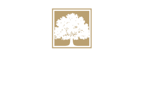Construction Company Services - Green Oak Developers Ltd